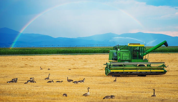 Modes de transmission limités : la Cour de cassation précise les conditions d’accès au régime de la déclaration préalable pour les biens agricoles